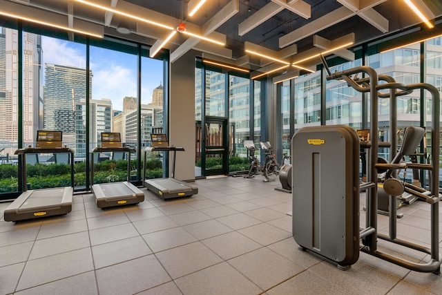 gym with expansive windows