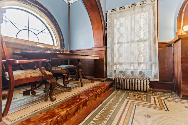 miscellaneous room with radiator heating unit and a wealth of natural light