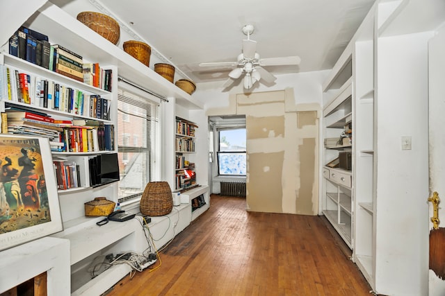 interior space featuring ceiling fan, dark hardwood / wood-style floors, and radiator