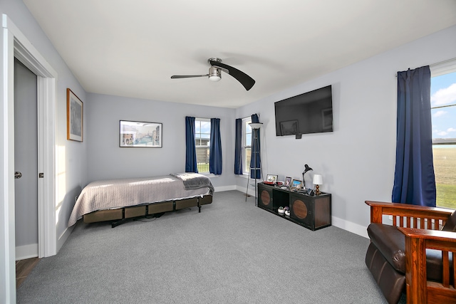 carpeted bedroom with ceiling fan and multiple windows