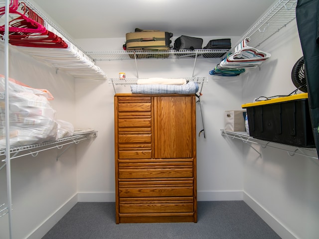 spacious closet featuring carpet