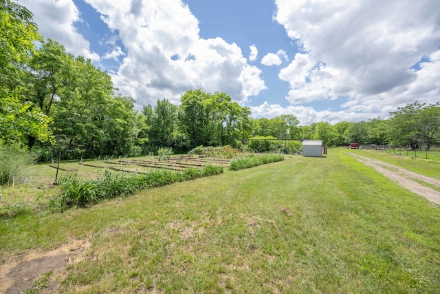 view of yard with a rural view