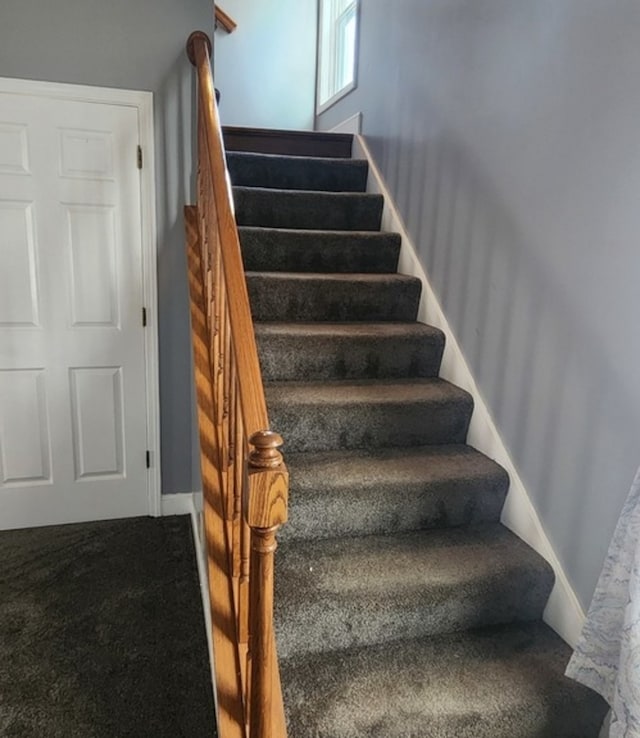 stairs featuring carpet