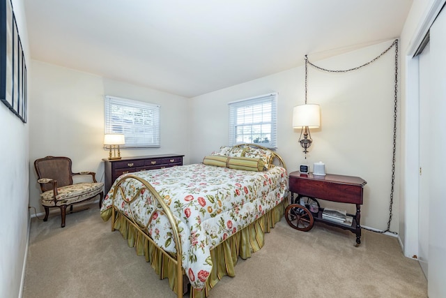 814 Countryside Dr, Wheaton, IL 60187 - bedroom featuring light carpet and a closet