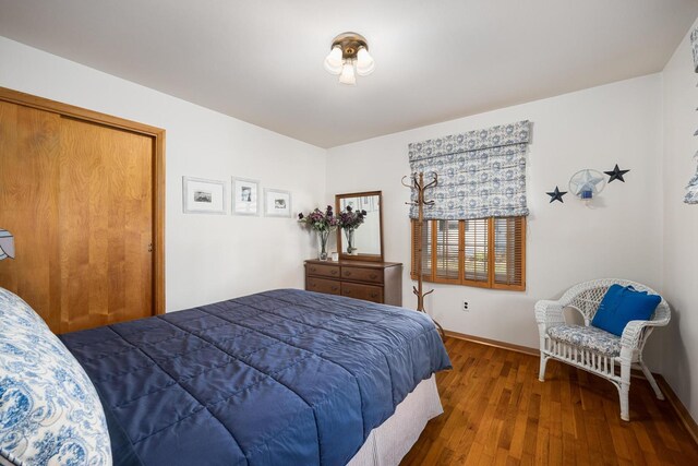 bedroom featuring dark wood-type flooring and a closet