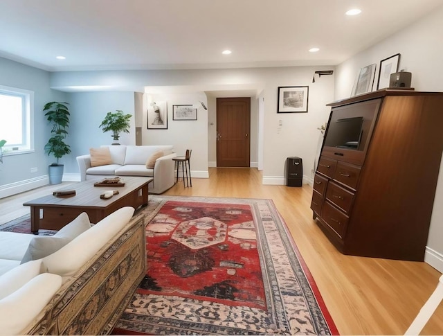 living room with light hardwood / wood-style flooring