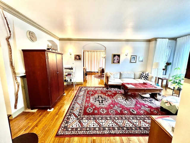 living room featuring crown molding and light wood-type flooring