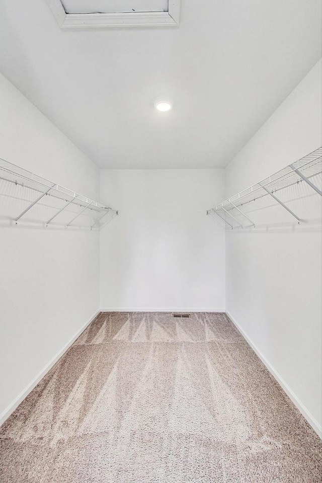 spacious closet featuring carpet flooring