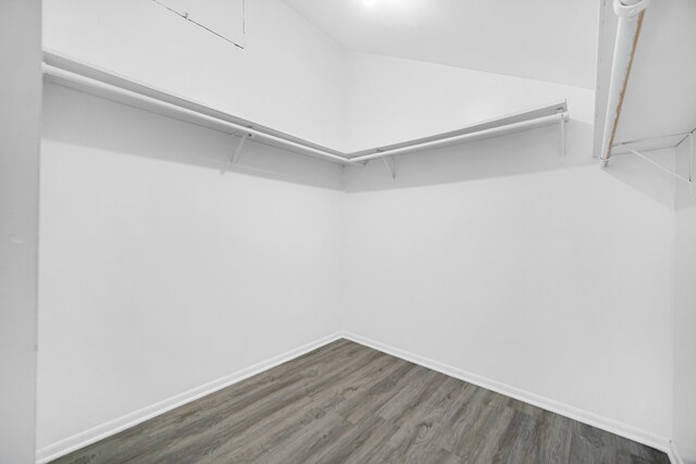 spacious closet featuring dark wood-type flooring