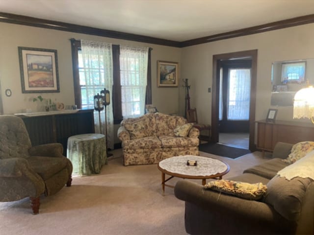 carpeted living room with ornamental molding