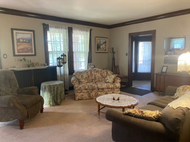 living area featuring carpet floors and crown molding