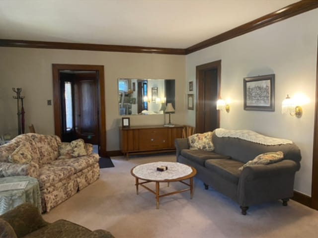 living area with light carpet, baseboards, and ornamental molding