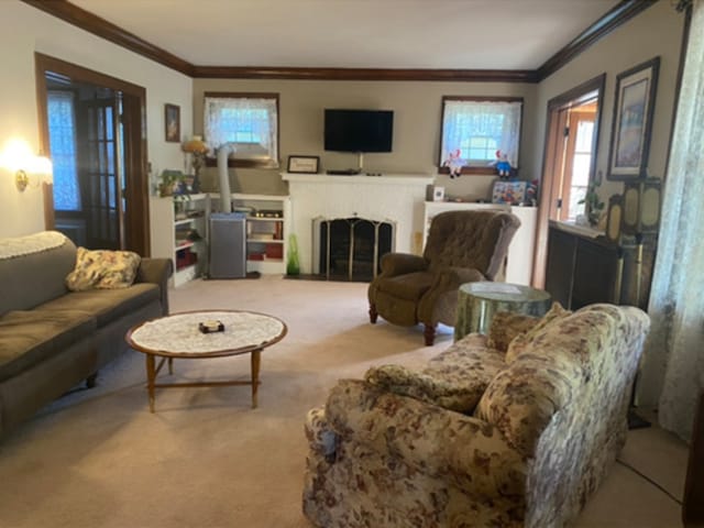 living room featuring ornamental molding, carpet flooring, and a fireplace