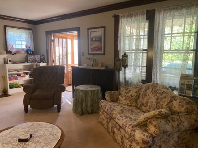 living room featuring ornamental molding and light carpet