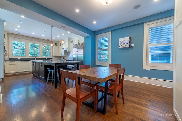 dining room featuring sink and dark wood-type flooring