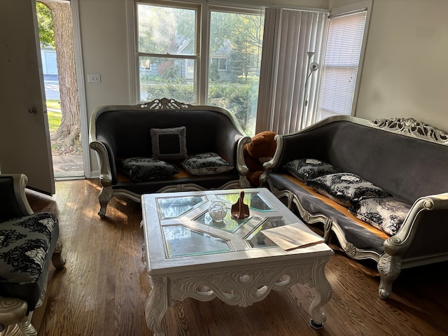 sitting room with hardwood / wood-style flooring