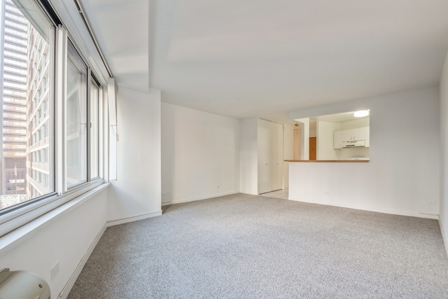 unfurnished room with light colored carpet