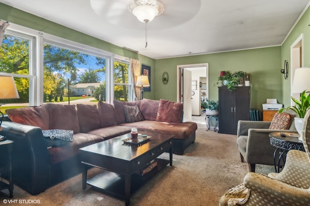 carpeted living room with a healthy amount of sunlight and ceiling fan