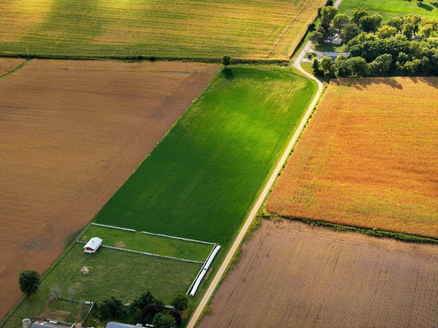 11971 W E Rd, Forreston, IL 61030 - aerial view of sparsely populated area