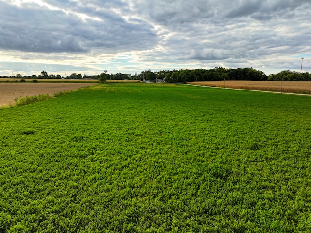 view of yard featuring a rural view