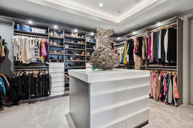 spacious closet with light colored carpet