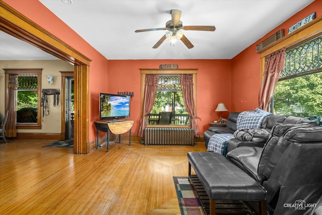 living room featuring ceiling fan, radiator heating unit, and light hardwood / wood-style flooring