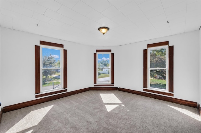 spare room featuring a wealth of natural light and carpet flooring