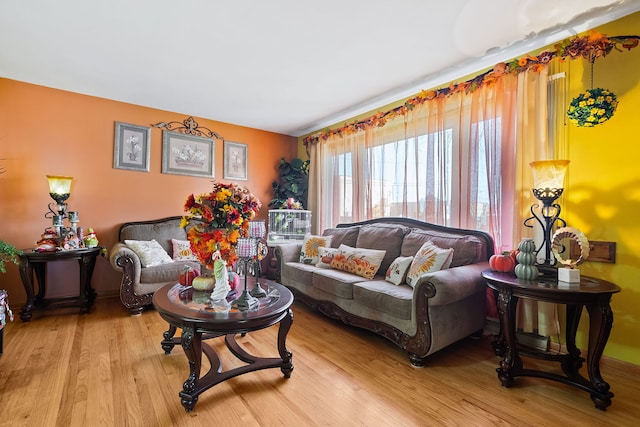 living room with light hardwood / wood-style flooring