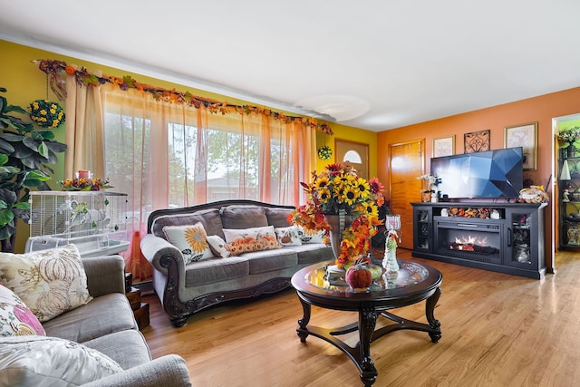 living room with light hardwood / wood-style floors