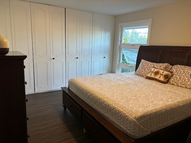 bedroom featuring dark wood-type flooring