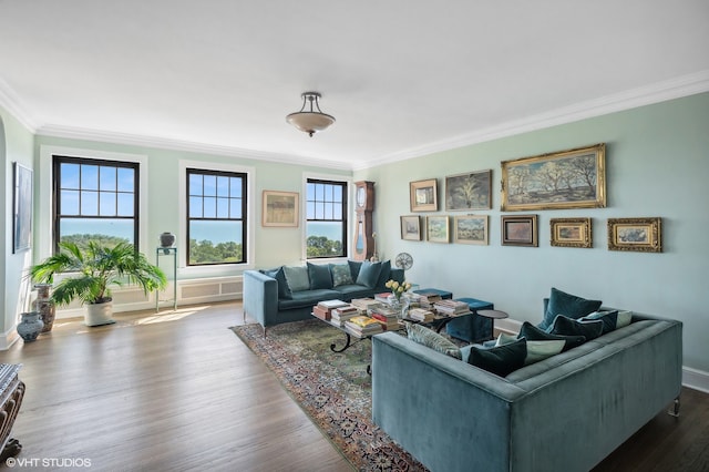 living room featuring hardwood / wood-style flooring, ornamental molding, and a wealth of natural light