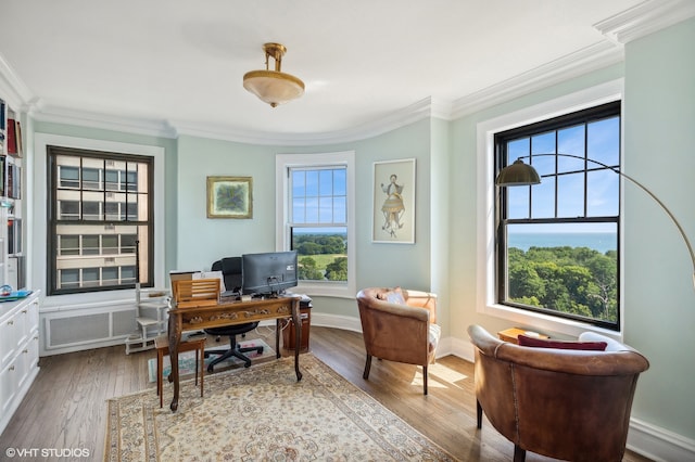 home office with light wood-type flooring and crown molding