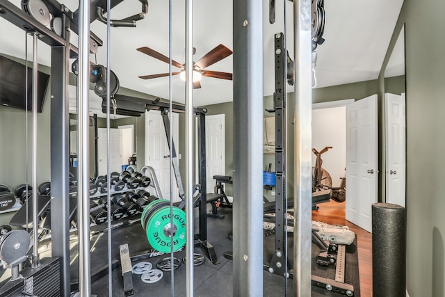 exercise room featuring hardwood / wood-style flooring and ceiling fan