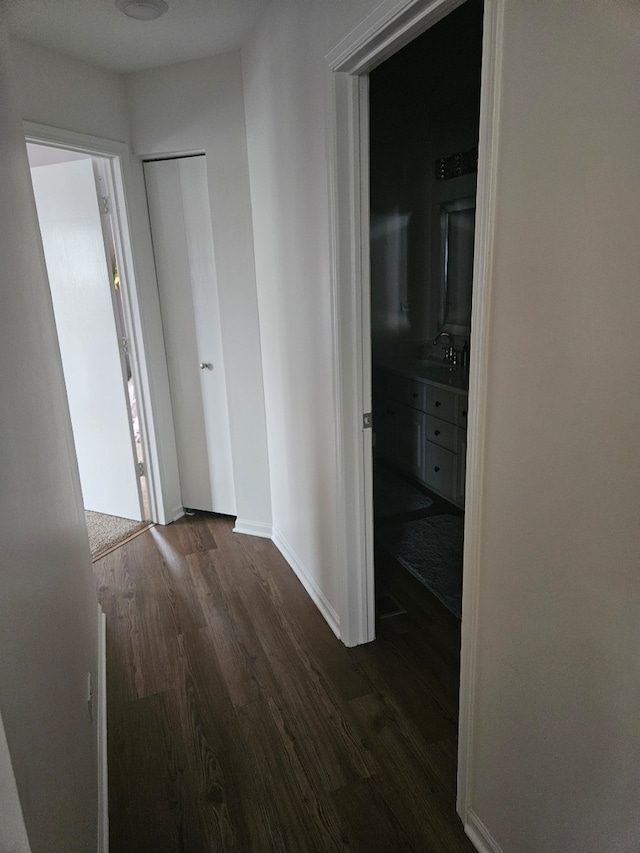 corridor with dark hardwood / wood-style flooring