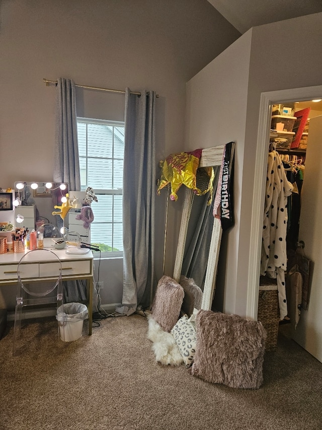 interior space featuring a spacious closet and lofted ceiling