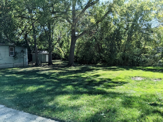 view of yard with a shed