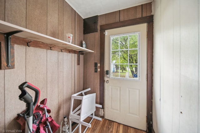 entryway featuring wood walls and dark hardwood / wood-style floors