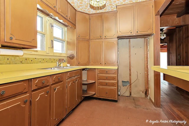 kitchen with sink and dark hardwood / wood-style floors