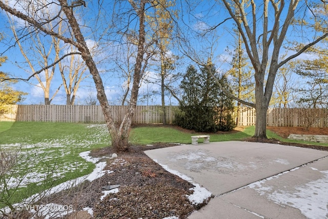 view of yard featuring a patio area