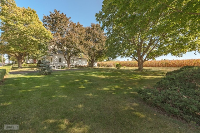 view of yard