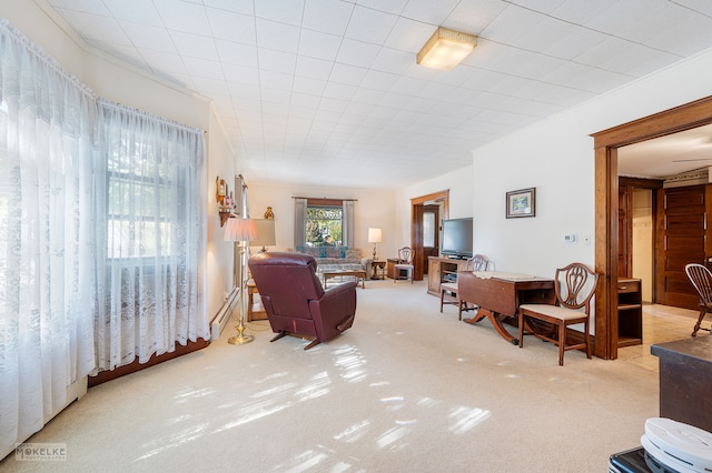 living room with carpet floors