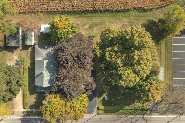 bird's eye view