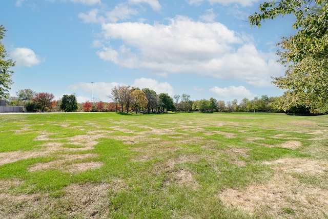 view of yard