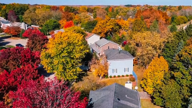 bird's eye view