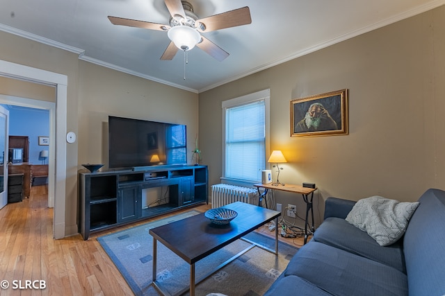 living room with crown molding, ceiling fan, light wood-type flooring, and radiator