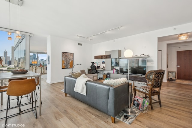 living room with track lighting and light wood-type flooring