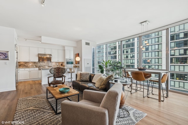 living room with a wall of windows and light hardwood / wood-style flooring