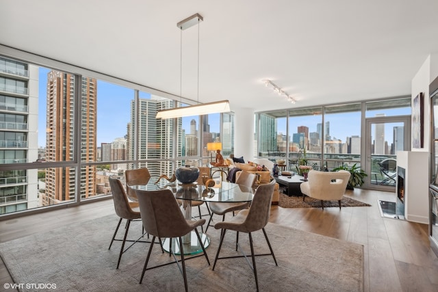 dining room with hardwood / wood-style flooring and floor to ceiling windows