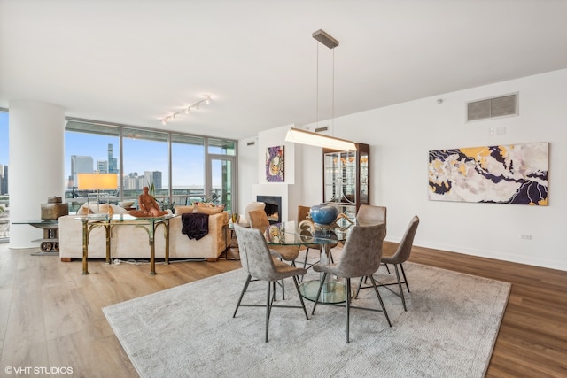 dining area with floor to ceiling windows, rail lighting, and wood-type flooring