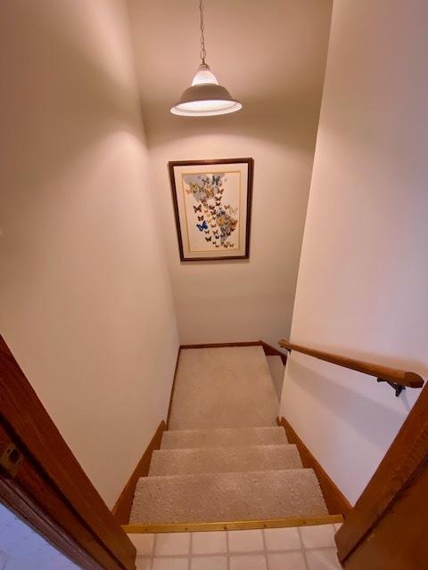 111 Village Woods Dr, Crete, IL 60417 - photo 32